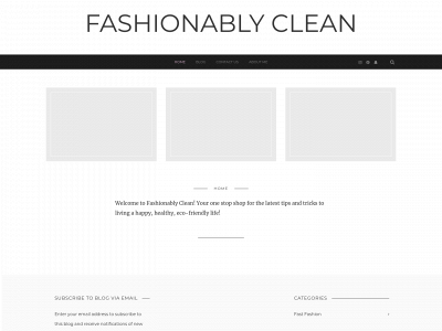 fashionablyclean.com snapshot