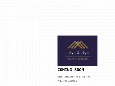 allys-allys.com snapshot