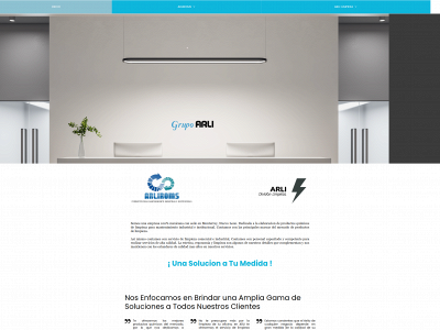 arli.mx snapshot