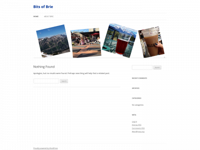bitsofbrie.com snapshot