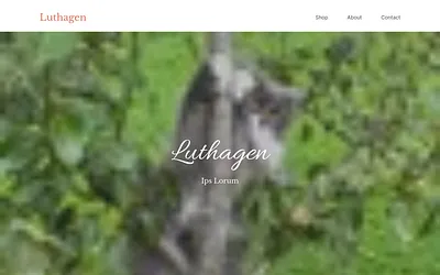 luthagen.no snapshot
