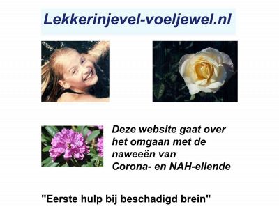 lekkerinjevel-voeljewel.nl snapshot