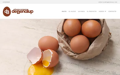 huevoscamperosdebenalup.com snapshot
