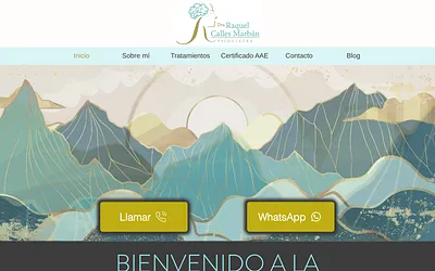 raquelcallespsiquiatra.com snapshot