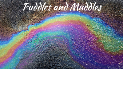puddlesandmuddles.com snapshot