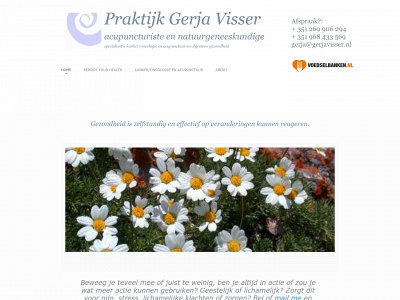 gerjavisser.nl snapshot