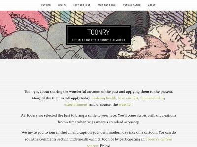 toonry.com snapshot