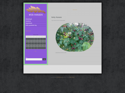 web-hansen.dk snapshot