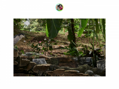 tgyapcorporatephoto.weebly.com snapshot