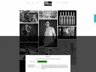 dannielsen.dk snapshot