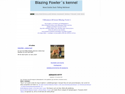 blazingfowlers.se snapshot