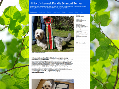 chdandiedinmont.se snapshot