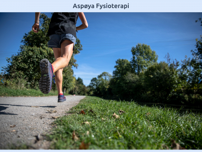 aspoyafysio.no snapshot