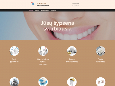 dentoptima.lt snapshot