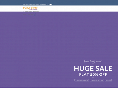 punypower.com snapshot