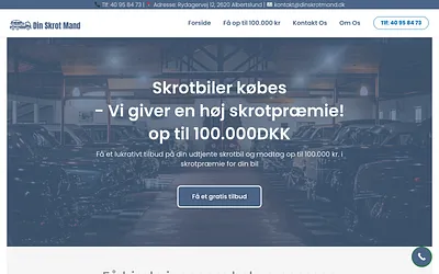 dinskrotmand.dk snapshot