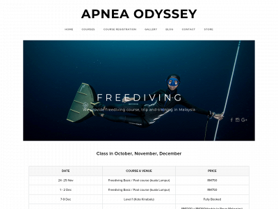 www.apneaodyssey.com snapshot