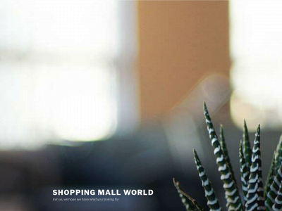 shoppingmallworld.com snapshot