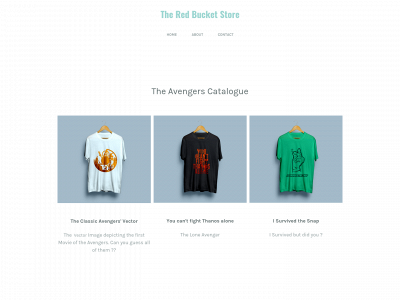 theredbucketstore.weebly.com snapshot
