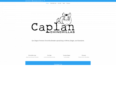 caplanchinchillas.com snapshot