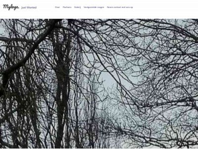 justwantedschilderwerken.nl snapshot