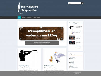 bosseandersson.com snapshot