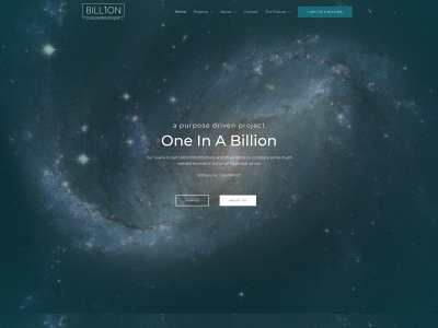 bill1on.com snapshot
