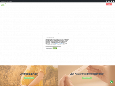aesvida.org snapshot