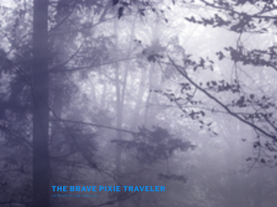 bravepixietraveler.com snapshot