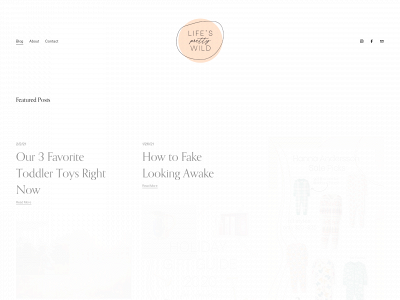 lifesprettywild.com snapshot