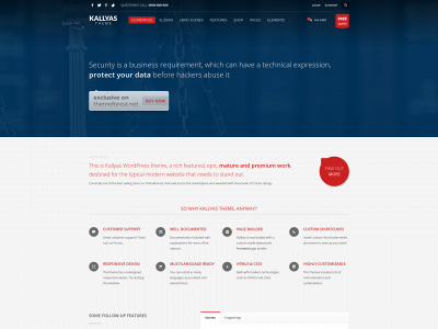 redfalconinvestigation.com snapshot