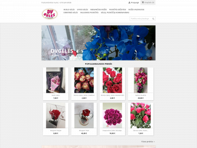 dvgeles.lt snapshot