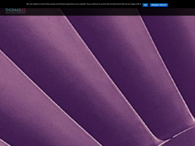 thomasleerecruitment.co.uk snapshot
