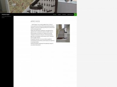 lietuviskilaiptai.lt snapshot