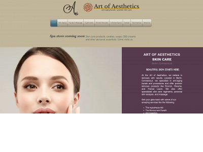 www.artofaestheticsskincare.net snapshot