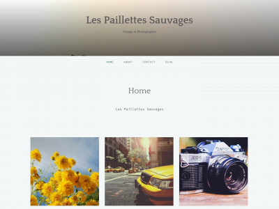 lespaillettessauvages.com snapshot