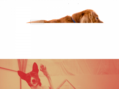 luvihund.se snapshot
