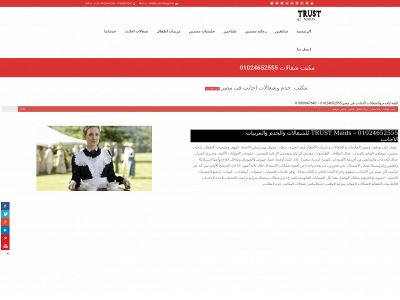 trustmaidseg.com snapshot