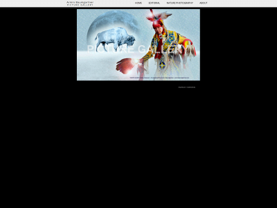 arminbaumgartner.de snapshot