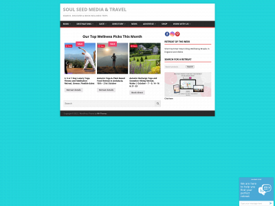 soulseedmedia.com snapshot