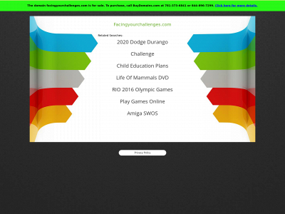facingyourchallenges.com snapshot