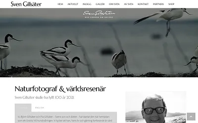 svengillsater.se snapshot