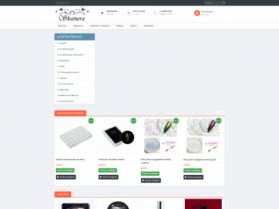 skainera.lt snapshot