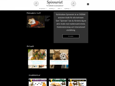 spinneriet.se snapshot