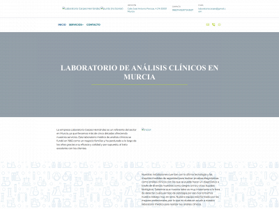 www.laboratoriocarpeshernandez.com snapshot