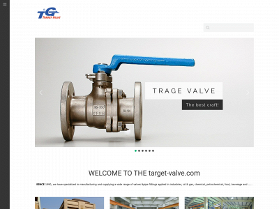 target-valve.com snapshot