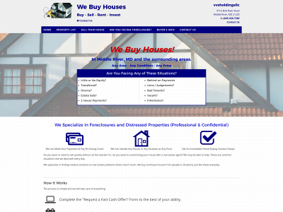 vvsholdingsllc.com snapshot