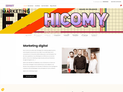 hicomy.com snapshot