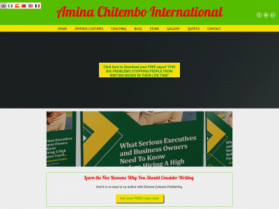 aminachitembo.com snapshot