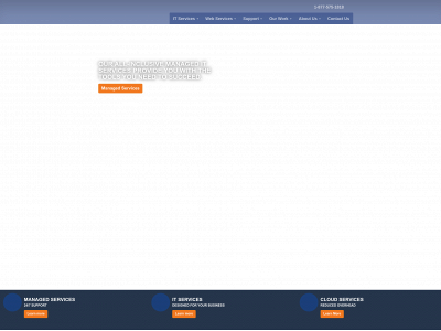 berg.tech snapshot